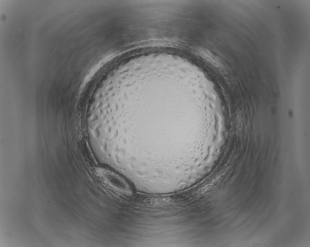 X0000068761310200605191613