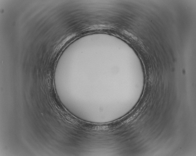 X0000068761313200605191613
