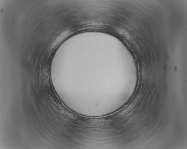 X0000068761354200605191613