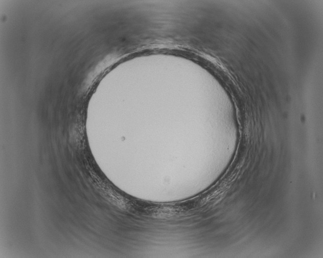 X0000068761359200605191613