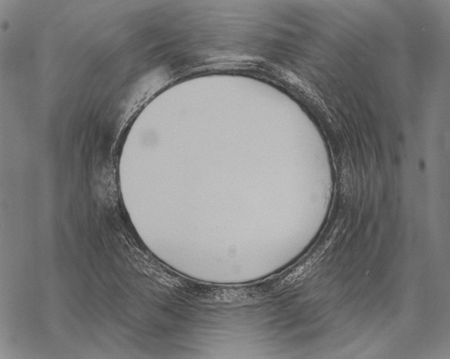 X0000068761362200605191613