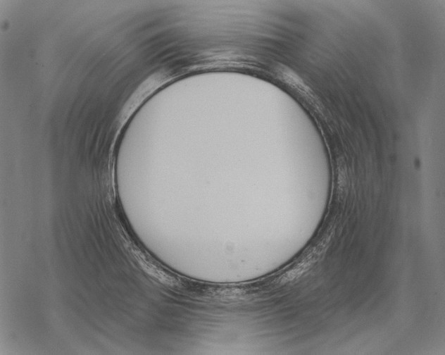 X0000068761370200605191613
