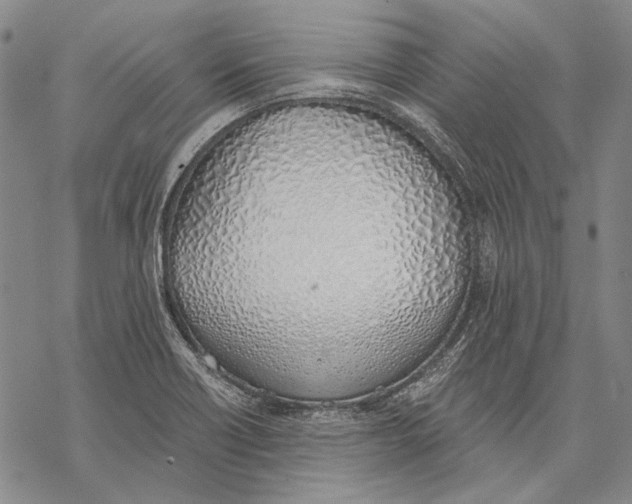 X0000068761418200605191612