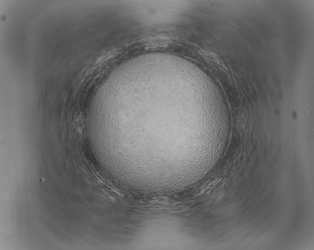 X0000068761445200605191612