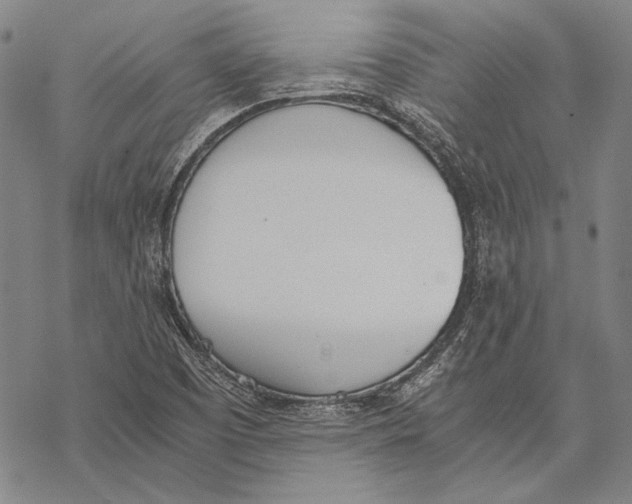 X0000068761457200605191611