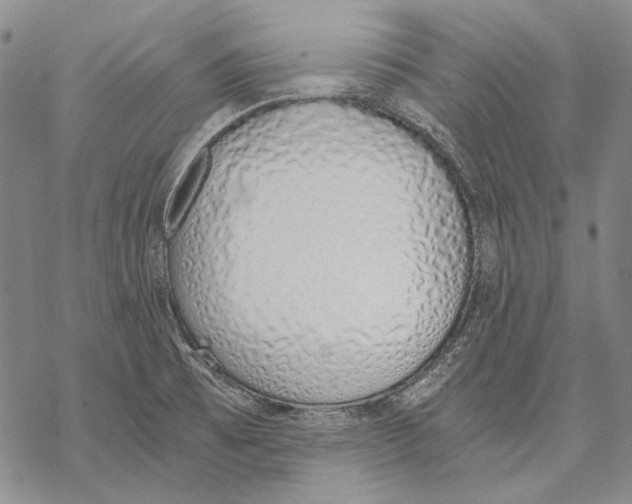 X0000068761473200605191611