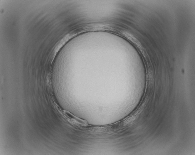 X0000068761481200605191611
