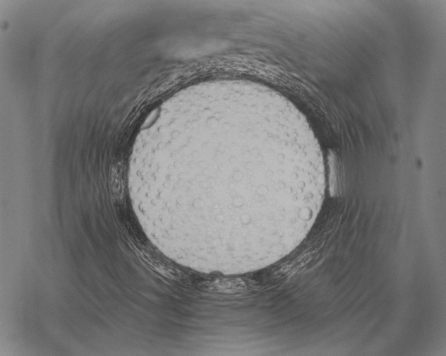 X0000068761491200605191610