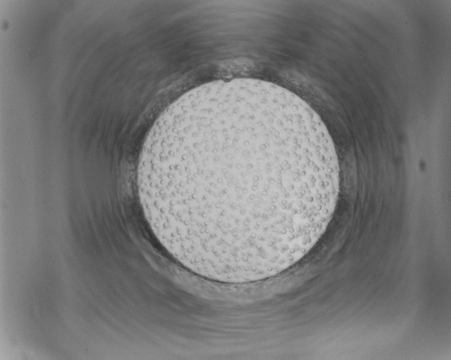 X0000068760038200605262152