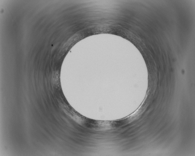 X0000068760144200605262150