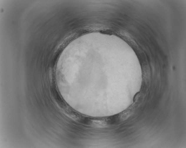 X0000068760167200605262150