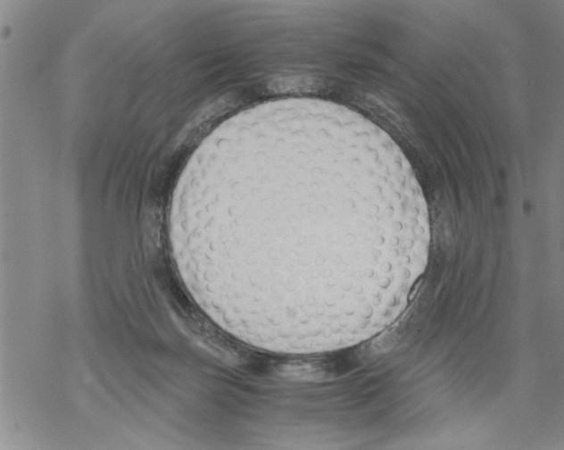 X0000068760171200605262150