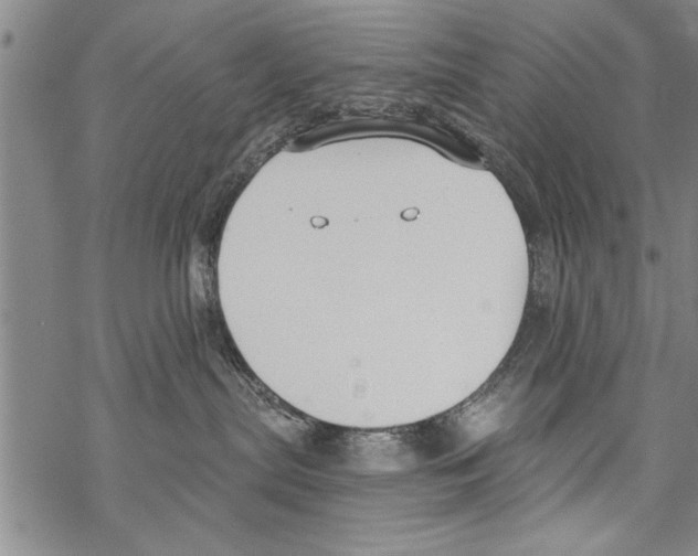 X0000068760287200605262149