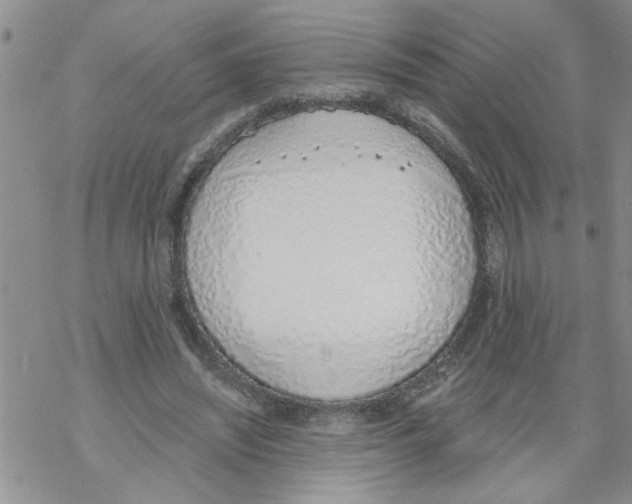 X0000068760444200605262145