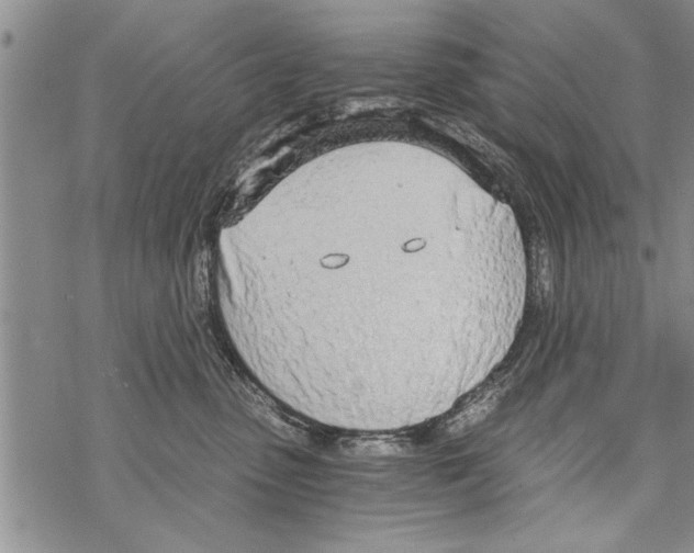 X0000068760475200605262146