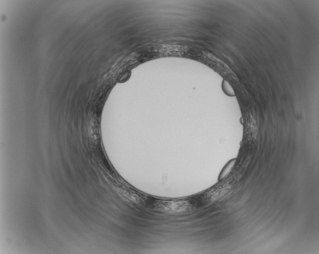 X0000068760663200605262142