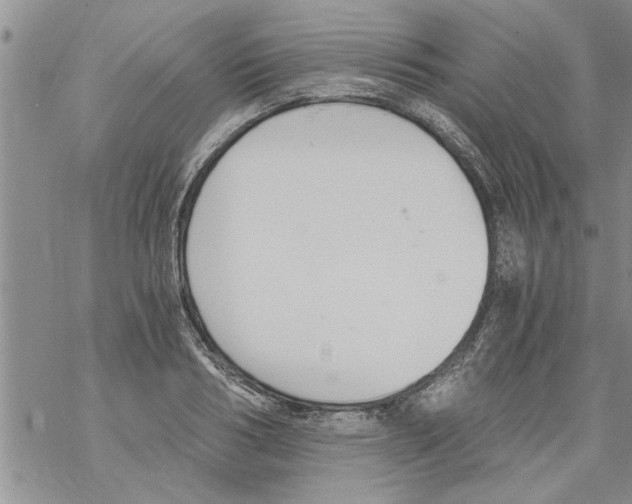 X0000068760986200605262137