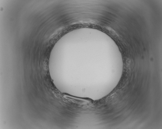 X0000068761110200605262134