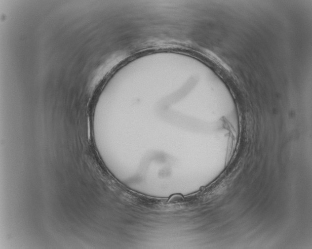 X0000068761269200605262132