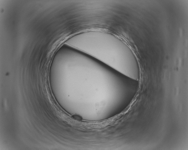 X0000068770001200604281030