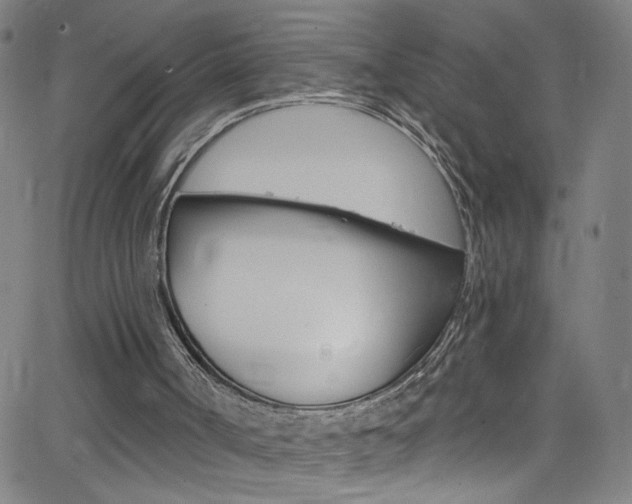 X0000068770002200604281030