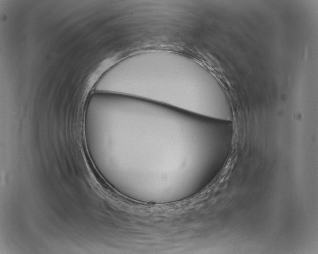 X0000068770003200604281030