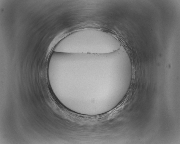 X0000068770004200604281029