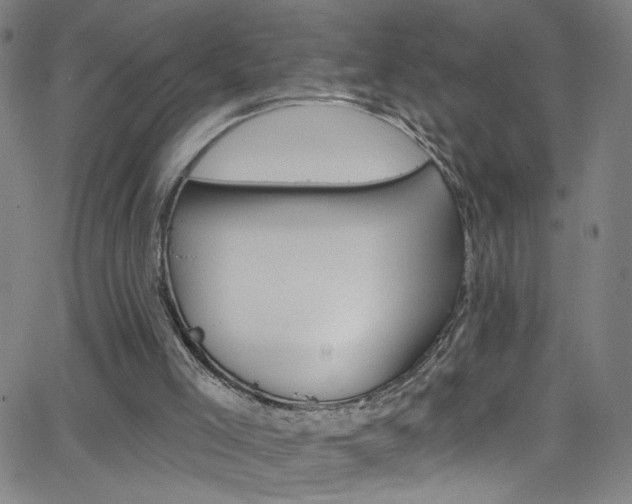 X0000068770005200604281029