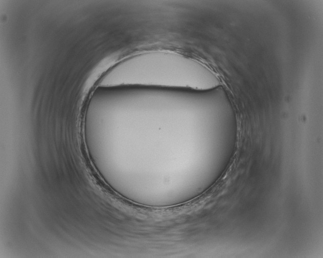 X0000068770006200604281029