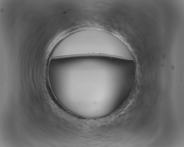 X0000068770007200604281029