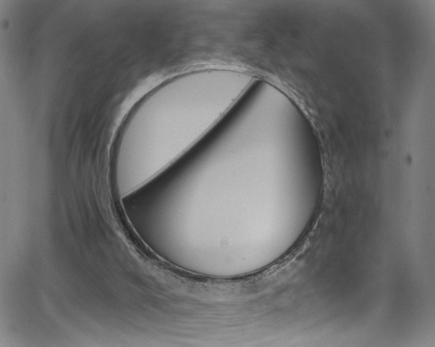 X0000068770008200604281029