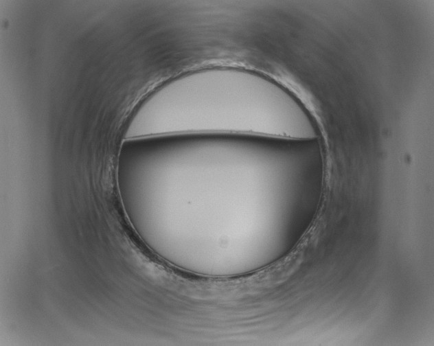 X0000068770009200604281029