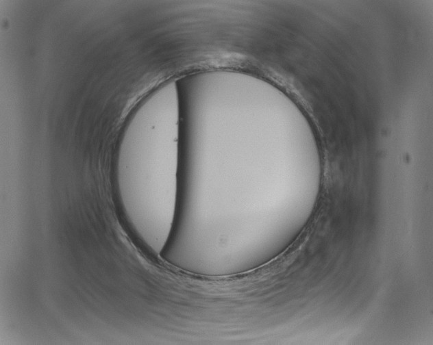 X0000068770010200604281029