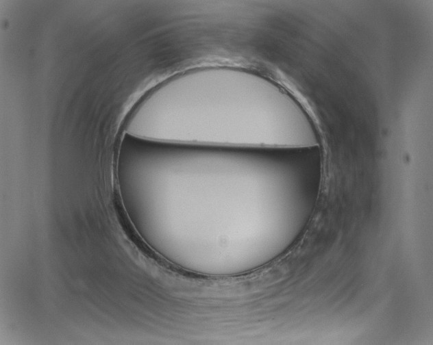 X0000068770011200604281029