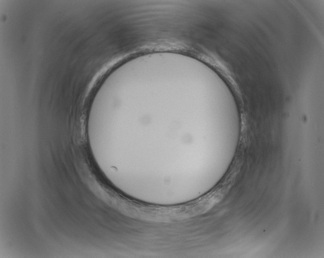 X0000068770012200604281029