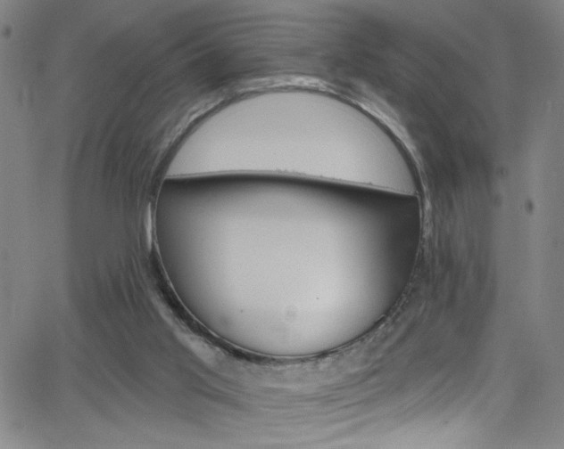 X0000068770013200604281029