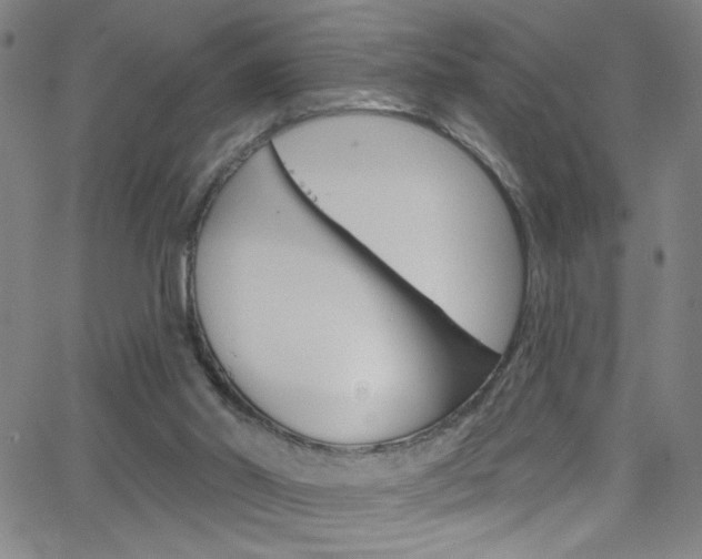 X0000068770014200604281029