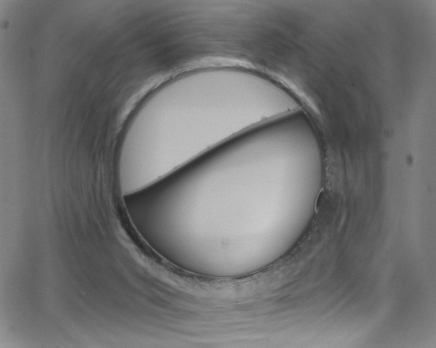 X0000068770015200604281029