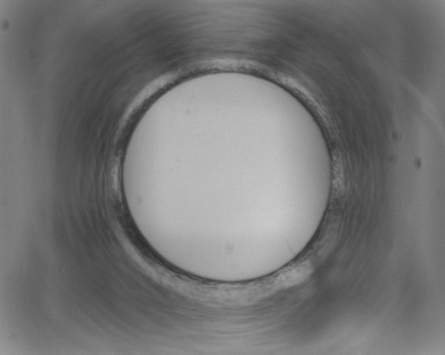 X0000068770016200604281029