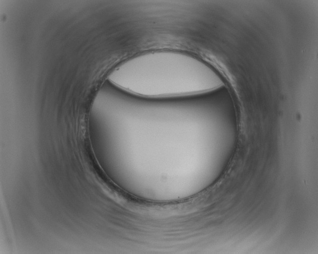 X0000068770017200604281029