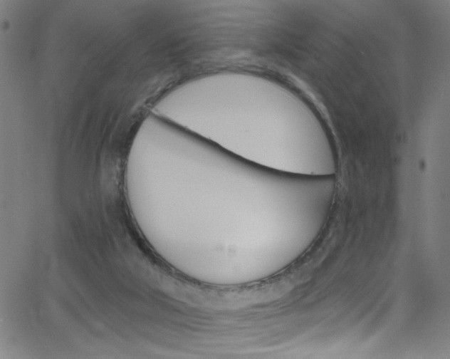 X0000068770018200604281029