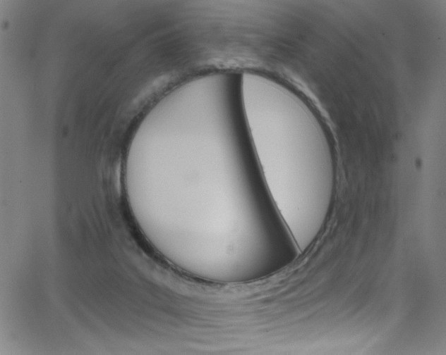 X0000068770019200604281029