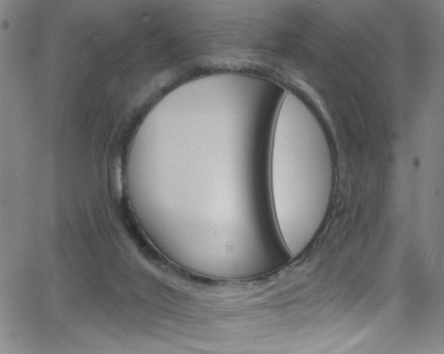 X0000068770020200604281029