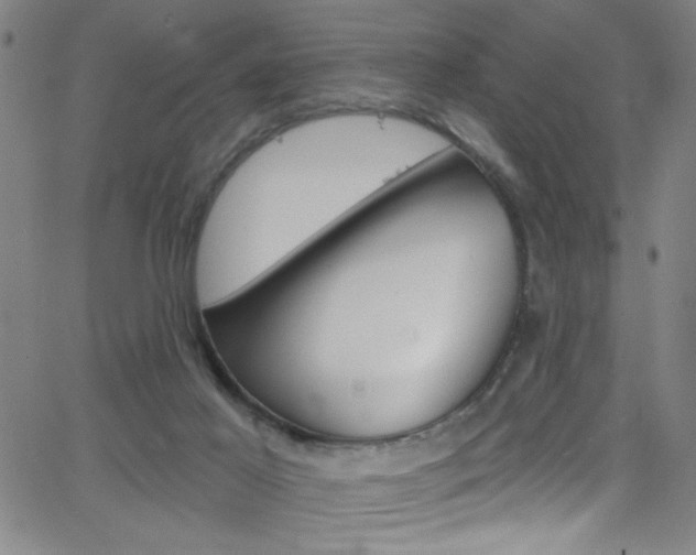 X0000068770021200604281029