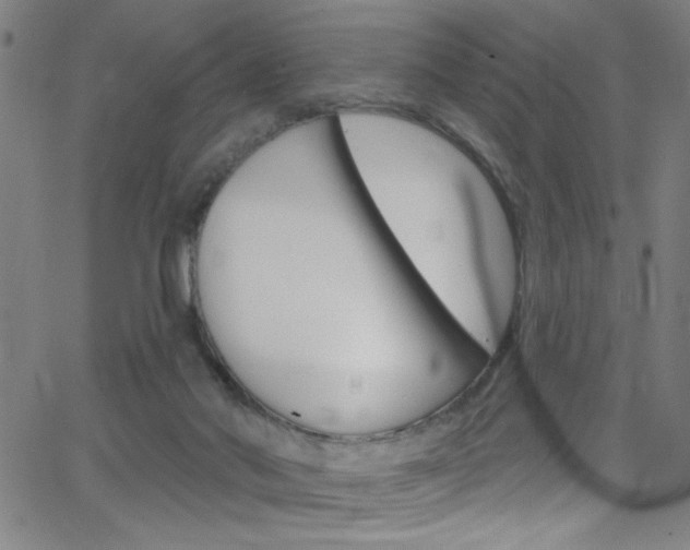 X0000068770022200604281029