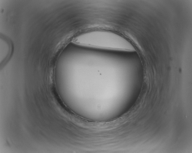 X0000068770023200604281029