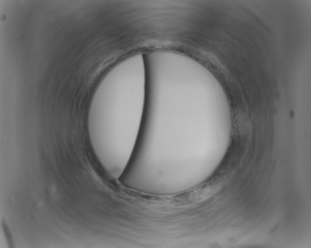 X0000068770024200604281029