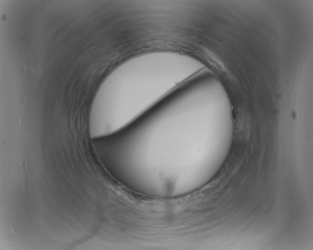 X0000068770025200604281029