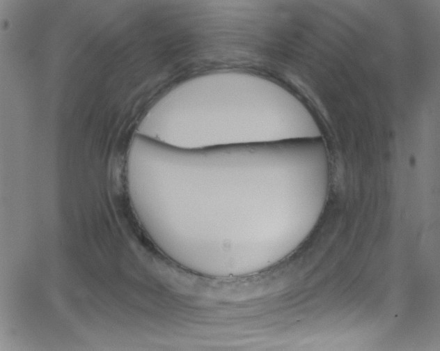 X0000068770026200604281029