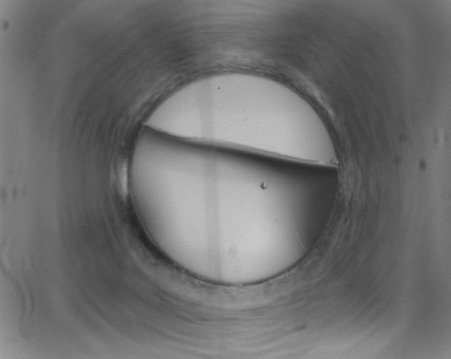 X0000068770027200604281029